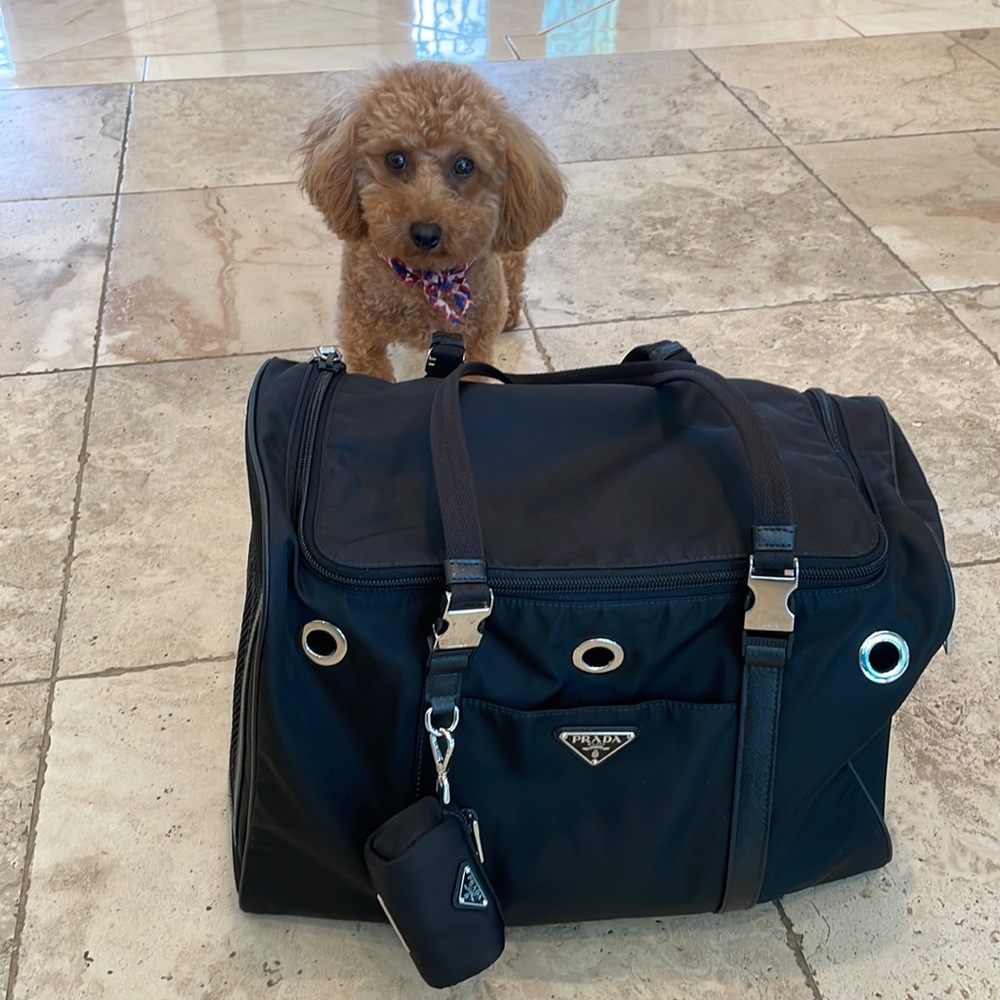 Prada Re-Nylon and Saffiano leather pet bag. Used once. Priced to sell!